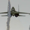 Máy bay Su-30MK2. (Nguồn: AFP)