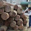 Nhà nguyên phó bí thư huyện ủy Ea Kar chứa hơn 5,5m3 gỗ lậu 