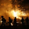 Lực lượng cứu hỏa nỗ lực khống chế các đám cháy rừng ở Valley Fire, California ngày 13/9 vừa qua. (Ảnh: AFP/TTXVN)