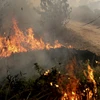 Binh sỹ Indonesia tham gia dập các đám cháy từng tại Ogan Ilir, tỉnh Nam Sumatra ngày 30/9 vừa qua. (Ảnh: Reuters/TTXVN)