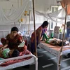 Bệnh nhân sốt xuất huyết được điều trị tại bệnh viện. (Ảnh minh họa: AFP/TTXVN)