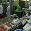 Sản xuất dược phẩm tại nhà máy của Công ty Cổ phần Dược - Trang thiết bị Y tế Bình Định. (Ảnh: Vũ Sinh/TTXVN)