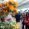Khách thăm quan triển lãm Hoa Đà Lạt và Sinh vật cảnh, tổ chức ở Đà Lạt năm 2013. (Ảnh: Thanh Tùng/TTXVN)
