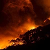 Cháy rừng cháy ở sông Wye gần Lorne, phía nam Melbourne, ngày 25/12. (Nguồn: Reuters)
