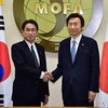 Ngoại trưởng Hàn Quốc Yun Byung-Se (phải) và Ngoại trưởng Nhật Bản Fumio Kishida (trái) tại cuộc hội đàm ngày 28/12/2015, ở thủ đô Seoul. (Ảnh: AFP/TTXVN)