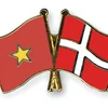 Việt Nam luôn coi trọng phát triển hợp tác hiệu quả với Đan Mạch