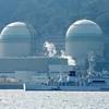 Lò phản ứng hạt nhân số 3 (trái) và số 4 (phải) tại nhà máy Takahama ngày 26/2 vừa qua. (Ảnh: AFP/TTXVN)