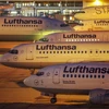 Hãng hàng không Lufthansa tại sân bay Frankfurt am Main, miền tây Đức. (Ảnh: AFP/TTXVN)