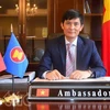 Đại sứ Nguyễn Hoành Năm, Trưởng Phái đoàn Đại diện Thường trực Việt Nam tại ASEAN. (Nguồn: baotintuc.vn)