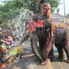 Những chú voi phun nước vào khách du lịch trong sự kiện được tổ chức nhằm chào đón lễ hội Songkran tại tỉnh Ayutthaya, Thái Lan ngày 11/4 vừa qua. (Ảnh: THX/TTXVN)