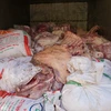 Thịt không có giấy chứng nhận kiểm dịch động vật đang được đưa lên xe tải. Ảnh minh họa. (Ảnh: Dương Chí Tưởng/TTXVN)