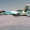 Một chiến đấu cơ Su-27 của Nga tham gia diễn tập trên bầu trời Anchorage, Alaska (Mỹ) tháng 8/2010. (Nguồn: Quân đội Mỹ)