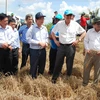 Phó Tổng Thư ký Liên Hợp quốc (thứ 2 từ phải) khảo sát cánh đồng lúa xã Phú Ngãi chết khô vì nước mặn lên sớm. (Ảnh: Văn Trí/TTXVN)
