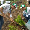 Công nhân viên Công ty Honda Việt Nam (HVN) cùng người dân địa phương tham gia “Ngày hội trồng rừng.” (Ảnh: Văn Xuyên/Vietnam+)