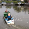 Các đội dịch vụ công ích của quận và thành phố tiến hành vớt cá chết để đảm bảo vệ sinh môi trường cho tuyến kênh Nhiêu Lộc-Thị Nghè. (Ảnh: Thanh Vũ/TTXVN)
