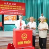 Các cử tri cao tuổi phường Thị Cầu, thành phố Bắc Ninh tham gia bỏ phiếu bầu tại tổ bầu cử số 04, phường Thị Cầu. (Ảnh: Thái Hùng/TTXVN)