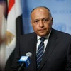 Ngoại trưởng Ai Cập Sameh Shoukry. (Ảnh: THX/TTXVN)