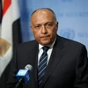 Ngoại trưởng Ai Cập Sameh Shoukry. (Ảnh: THX/TTXVN) 
