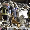 Lực lượng cứu hộ tìm kiếm nạn nhân động đất tại Amatrice, Italy ngày 25/8. (Ảnh: EPA/TTXVN)