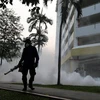 Phun thuốc diệt muỗi mang virus Zika ở một khu dân cư tại Aljunied ngày 29/8 vừa qua. (Ảnh: AFP/TTXVN)