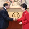 Tổng thống Hàn Quốc Park Geun-hye và Tổng thống Ai Cập Abdel Fattah al-Sisi. (Ảnh: Yonhap/TTXVN)