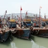 Tàu cá Trung Quốc neo tại cảng Manseok, Incheon sau khi bị Hàn Quốc bắt giữ vì hoạt động trái phép. (Ảnh: Yonhap/TTXVN)