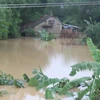 Nhiều hộ dân xã Hương Đô, huyện Hương Khê, tỉnh Hà Tĩnh bị ngập chìm trong nước lũ. (Ảnh: Phan Quân/TTXVN)