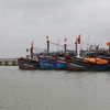 Tàu thuyền ngư dân neo đậu tránh áp thấp nhiệt đới tại khu neo đậu tau thuyền Phú Hải, huyện Phú Vang. (Ảnh: Hồ Cầu/TTXVN)