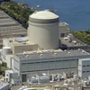 Lò phản ứng số 3 tại Nhà máy điện hạt nhân Mihama của Công ty Điện lực Kansai - KEPCO. (Nguồn: Kyodo)