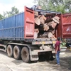 Xe container vật gỗ căm xe bị thu giữ. (Ảnh: Anh Dũng/TTXVN)