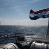 Cờ của Hà Lan bay ở đuôi một chiếc thuyền chạy bằng tuabin gió ở ngoài khơi bờ biển của Ijmuiden. (Nguồn: Bloomberg/Getty Images)