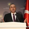 Ngoại trưởng Thổ Nhĩ Kỳ Mevlut Cavusoglu. (Ảnh: THX/TTXVN)