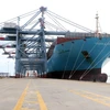 Tàu container "siêu khủng" Margrethe Maersk cập cảng CMIT thành công. (Ảnh: Đoàn Mạnh Dương/TTXVN)