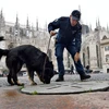 Cảnh sát Italy đưa chó nghiệp vụ đi kiểm tra an ninh. (Ảnh: EPA/TTXVN)