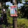 Biển quảng cáo và tờ rơi ghi số điện thoại mua bán đất dán đầy trên các cây xanh tại khu vực xã Vĩnh Lộc A, B, huyện Bình Chánh. (Ảnh: Hoàng Hải/TTXVN)