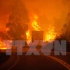 Ngọn lửa dữ dội trong vụ cháy rừng ở Pedrogao Grande, quận Leiria ngày 17/6 vừa qua. (Ảnh: EPA/TTXVN)