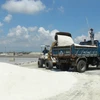 Vận chuyển muối đi tiêu thụ tại Xí nghiệp Muối xuất khẩu Hòn Khói. (Ảnh: Nguyên Lý/TTXVN)