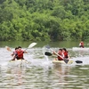 Tour du lịch mạo hiểm chèo thuyền kayak vượt sông - một trong những nội dung được cấp phép cho các công ty du lịch tại Lâm Đồng. (Ảnh: Nguyễn Dũng/TTXVN)