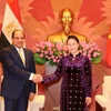 Chủ tịch Quốc hội Nguyễn Thị Kim Ngân hội kiến Tổng thống Cộng hòa Arab Ai Cập Abdel Fattah el-Sisi đang thăm cấp Nhà nước tới Việt Nam. (Ảnh: Trọng Đức/TTXVN)