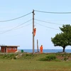 Sửa chữa lưới điện hạ thế trên đảo. (Ảnh: Ngọc Hà/TTXVN)