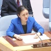  Đại sứ Nguyễn Phương Nga, Trưởng Phái đoàn Việt Nam tại Liên hợp quốc. (Ảnh: TTXVN)