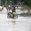 Đường vào xã Sơn Thành, Bảo Thành, huyện Yên Thành, tỉnh Nghệ An, đi từ đường N5 bị ngập sâu, ảnh hưởng tới việc đi lại của người dân. (Ảnh: Thanh Tùng/TTXVN)