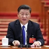Tổng Bí thư, Chủ tịch Trung Quốc Tập Cận Bình tại Đại hội. (Ảnh: THX/TTXVN)