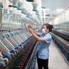 Dây chuyền sản xuất của Nhà máy Sợi thuộc Tổng Công ty Cổ phần Dệt may Nam Định. (Ảnh: Hiền Hạnh/TTXVN)