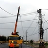 Công nhân điện lực khẩn trương khôi phục lại mạng lưới điện. (Ảnh: Thế Lập/TTXVN)