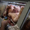 Thịt được bày bán tại siêu thị ở Rio de Janeiro, Brazil. (Ảnh: AFP/TTXVN)