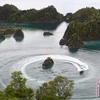 Hình ảnh Piaynemo tại Raja Ampat, Tây Papua, một trong những địa điểm du lịch đẹp nhất tại Indonesia. (Nguồn: antaranews.com)