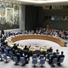 Toàn cảnh cuộc họp của Hồi đồng Bảo an Liên hợp quốc ở New York, Mỹ, ngày 16/11 vừa qua. (Ảnh: THX/TTXVN)