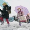 Con trẻ đi bộ đến trường giữa lúc tuyết rơi dày ở Chofu, miền tây Tokyo, vào năm 2016. (Nguồn: Kyodo)