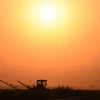 Quang cảnh một cánh đồng trong nắng gắt ở gần Bakersfield, bang California, Mỹ ngày 24/8/2016. (Ảnh; AFP/TTXVN)